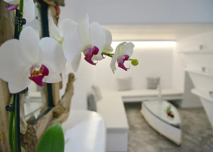 Moschoula Apartment Adamantas (Milos)